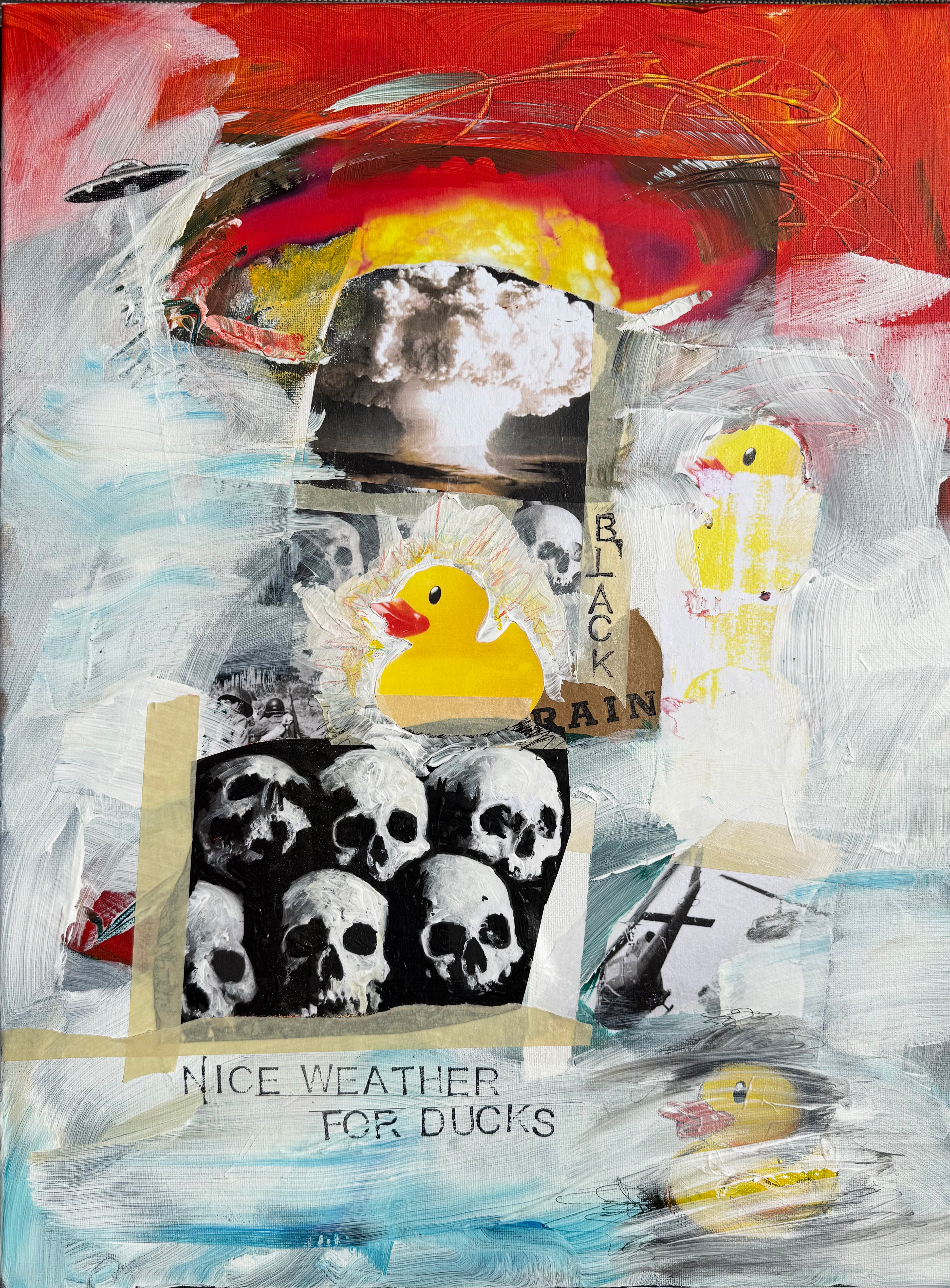 NICE WEATHER FOR DUCKS